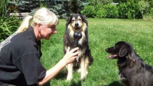 Good Dog Berlin - About your dog trainers Kerstin & Jamie