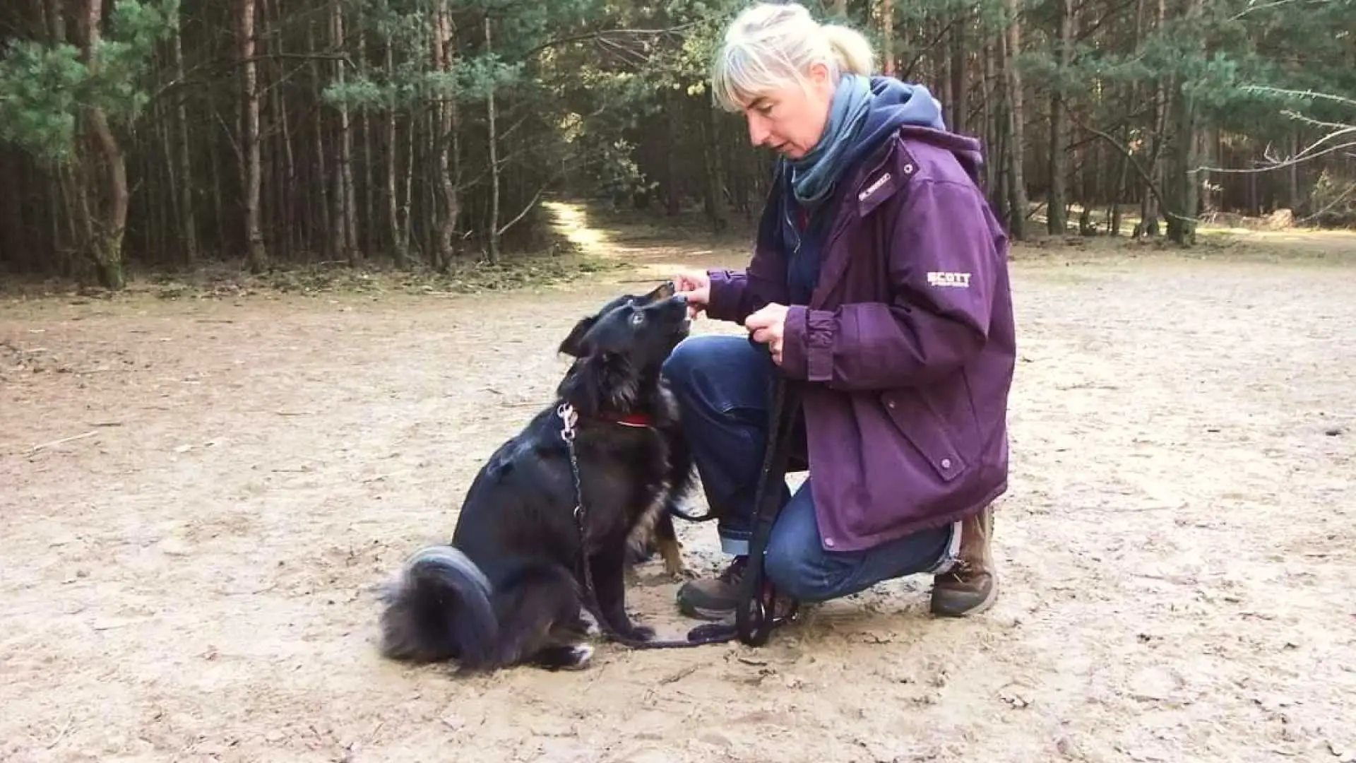 Our training methods are focused on positive reinforcement as well as behavioral therapy.