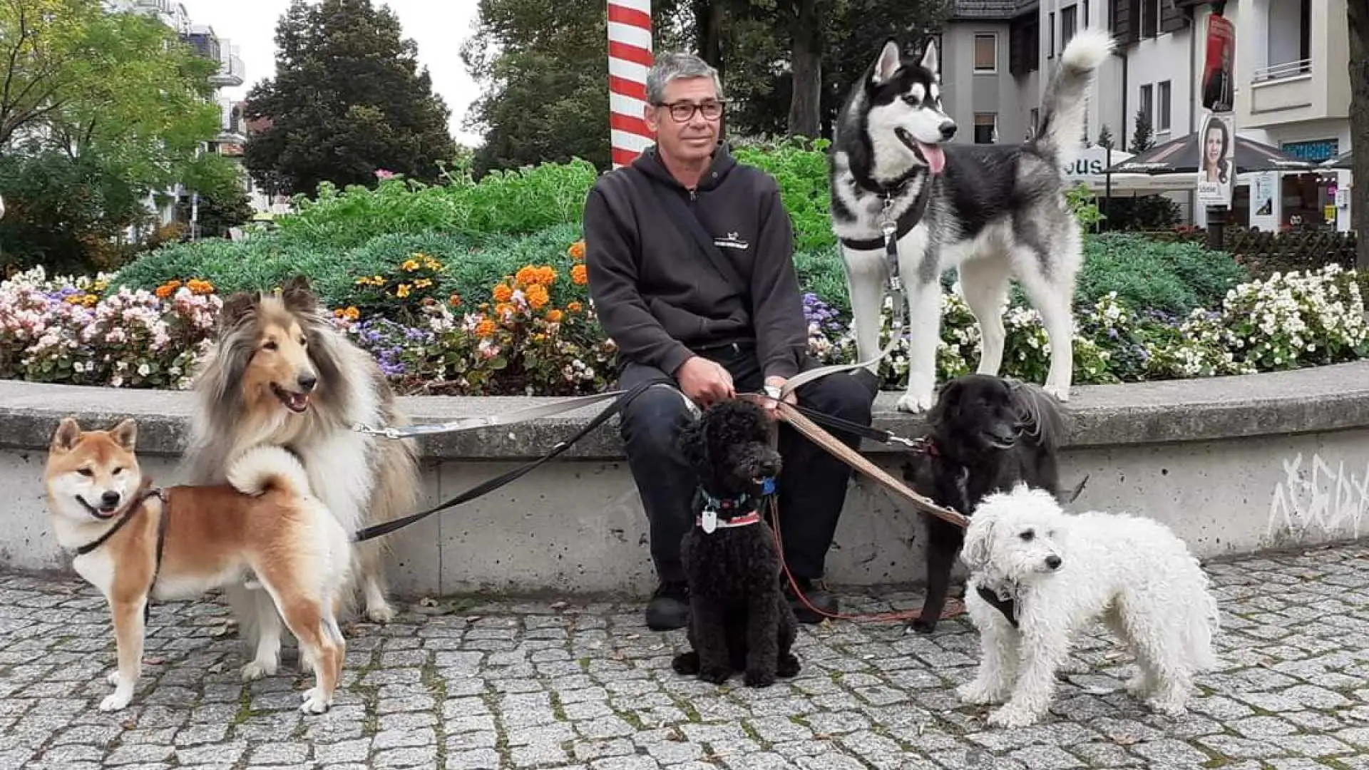 We provide services across Berlin as well as 1:1 training in your home.