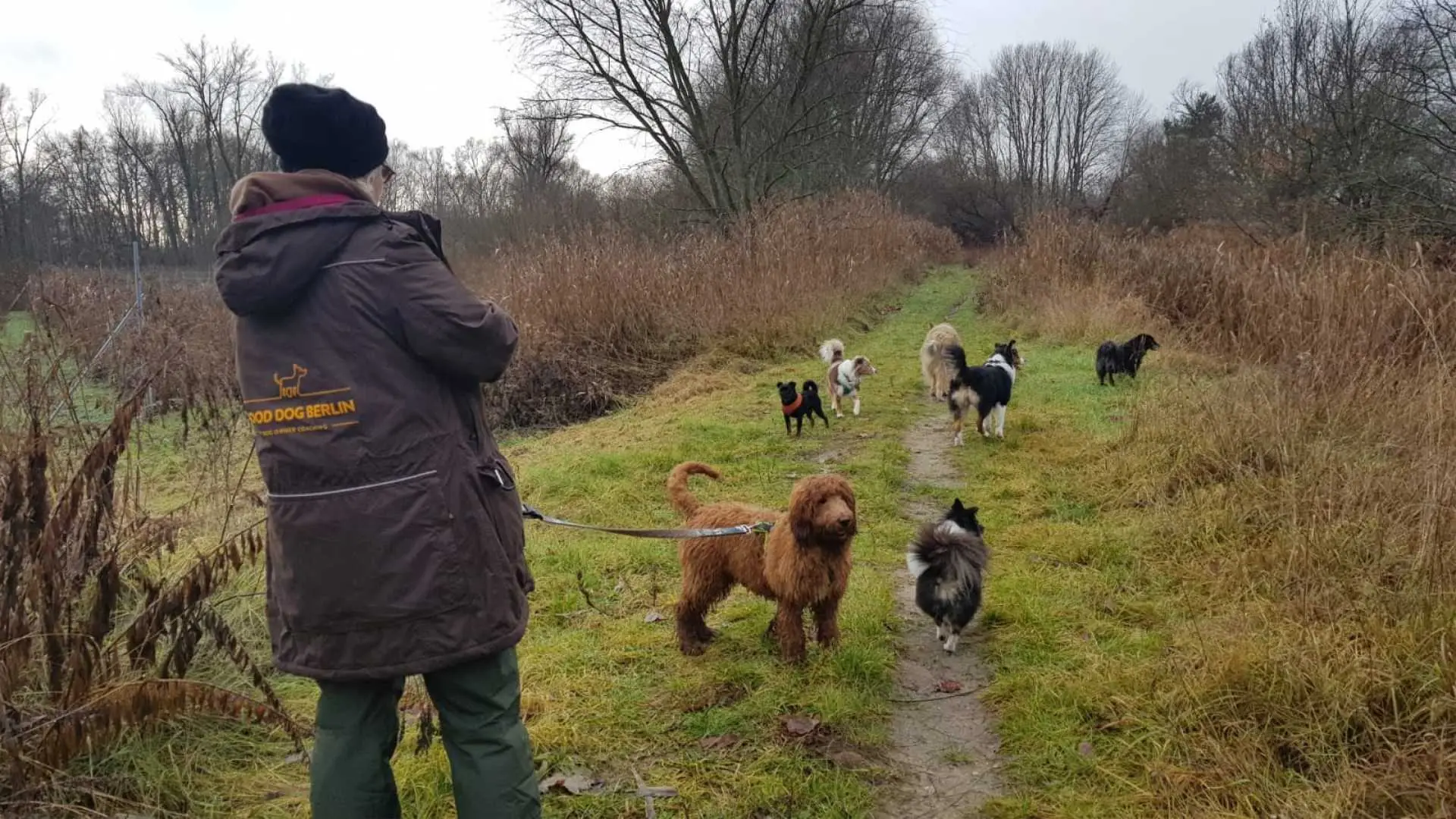 All our classes are offered exlusively in English. We are certified by the local veterinary authorities and of course our training methods are force-free and in line with the German animal welfare act.